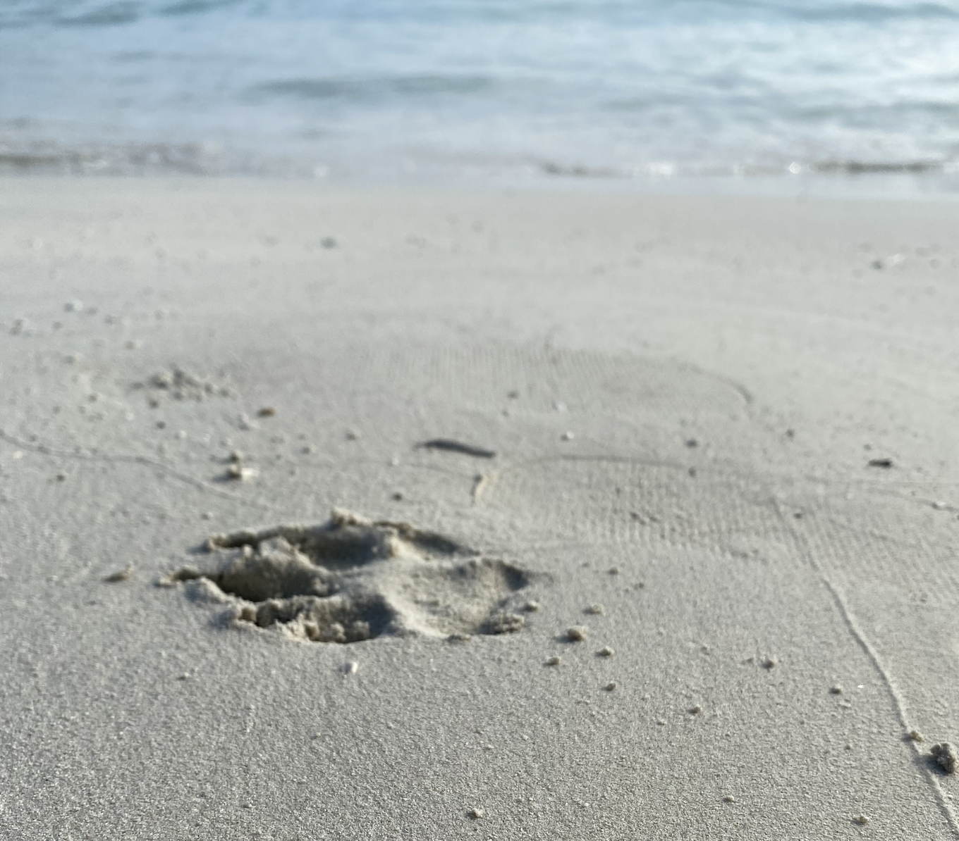 Vrika Beach Antipaxos – How to Get There, What to Do & Where to Eat, petfriendly