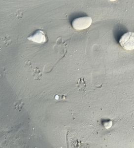 Cosa fare dopo aver lasciato Paxos: Divertenti consigli di sopravvivenza fino alla tua prossima vacanza in Grecia